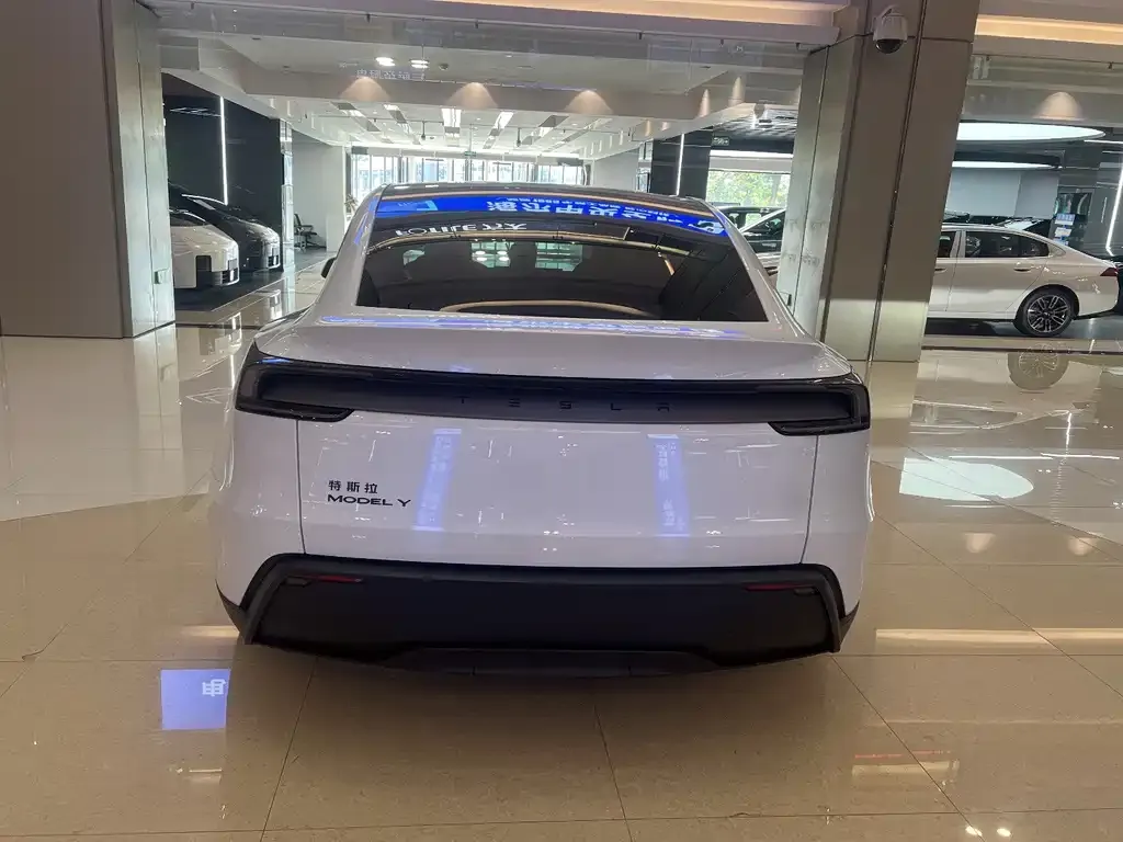 Tesla Model Y — фото 9