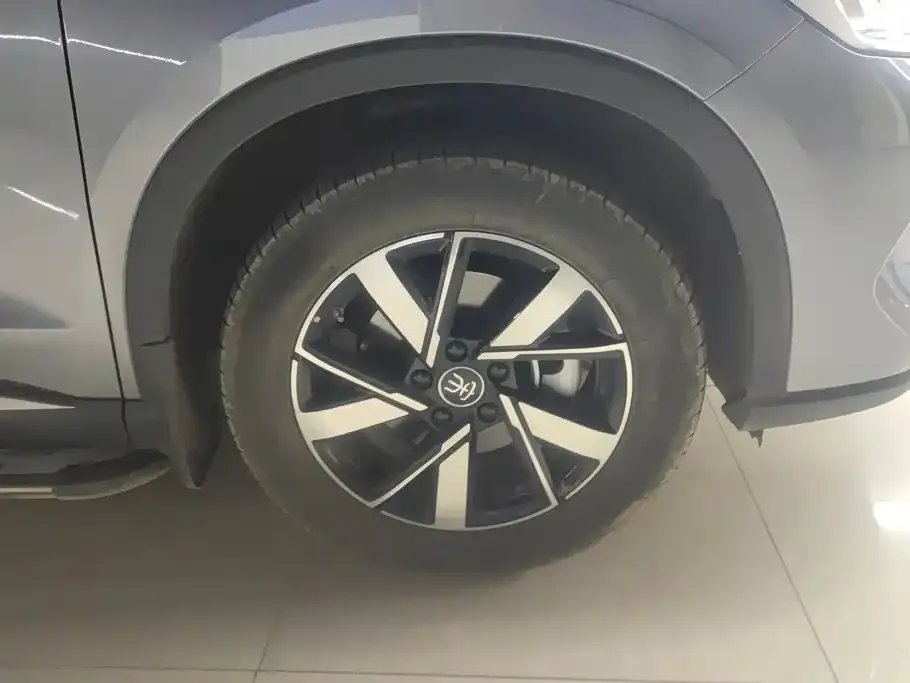 BYD Pro New Energy — фото 6
