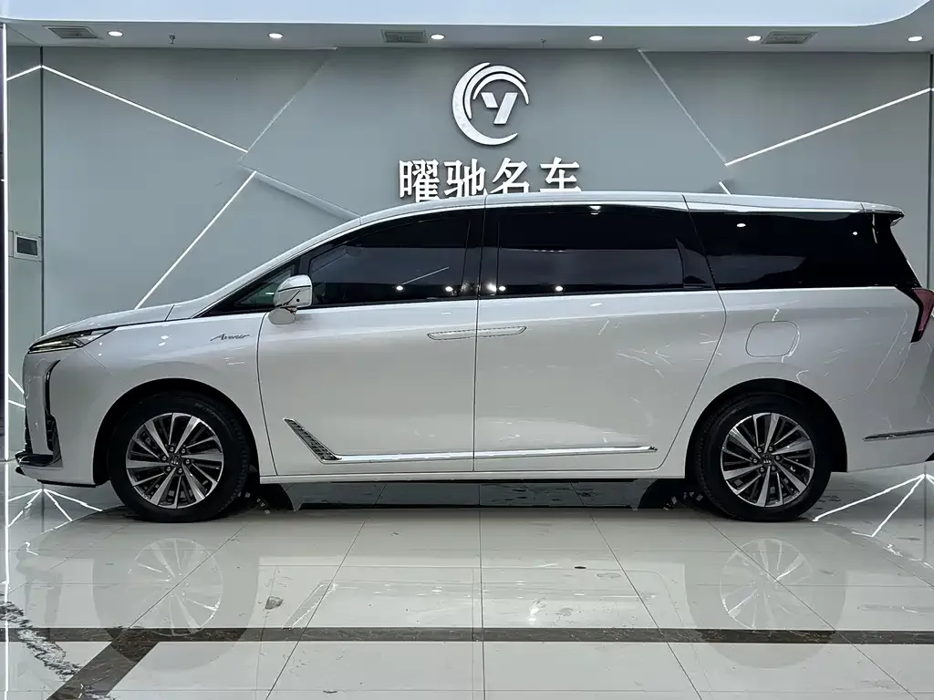 Buick GL8 Hybrid — фото 9