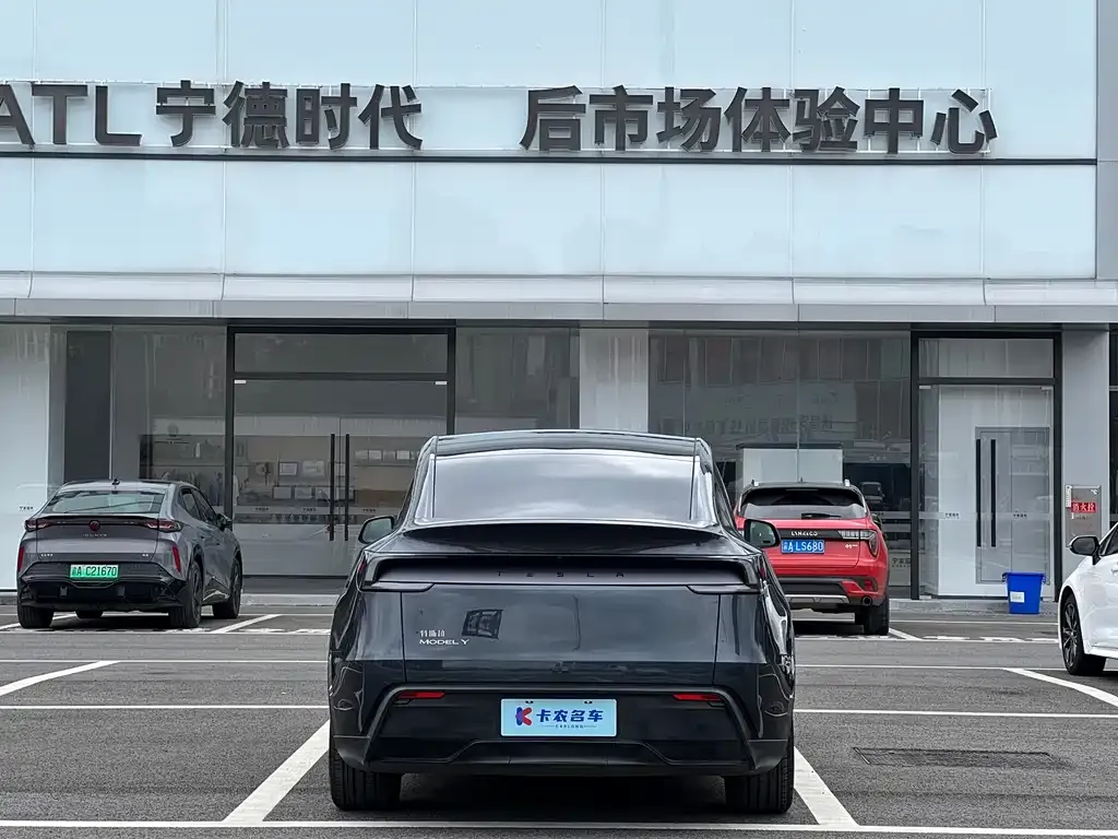 Tesla Model Y — фото 1