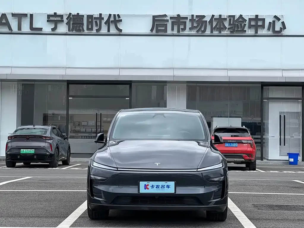 Tesla Model Y — фото 8