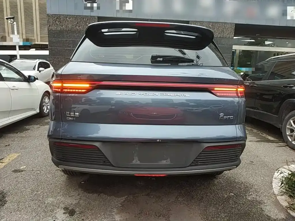 BYD Pro New Energy — фото 8