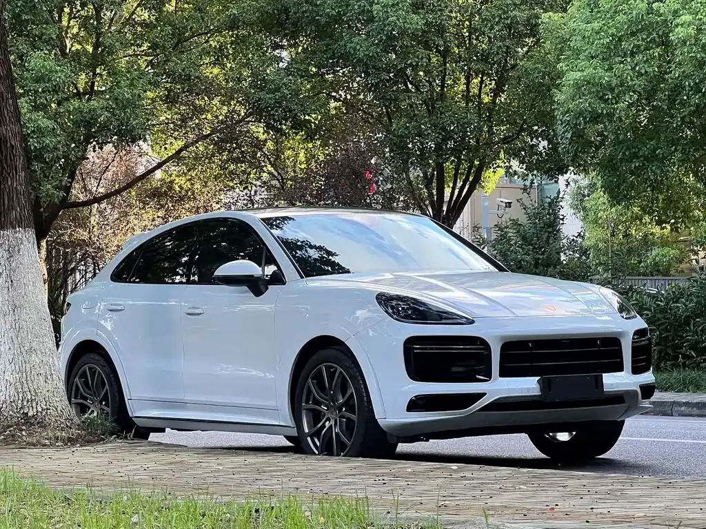 Porsche Cayenne — фото 10