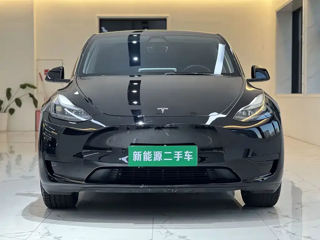 Tesla Model Y — фото 5