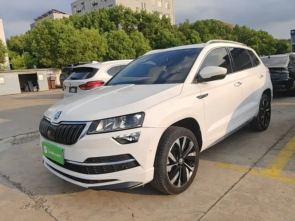Skoda Karoq — фото 7