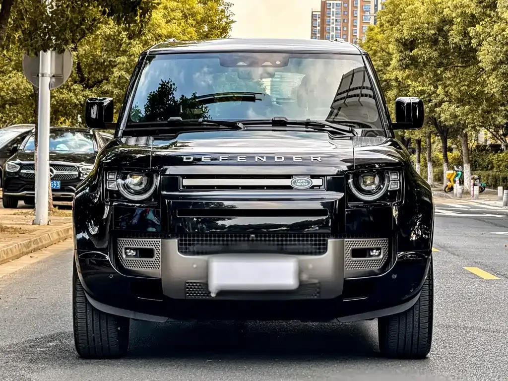 Land Rover Defender — фото 8