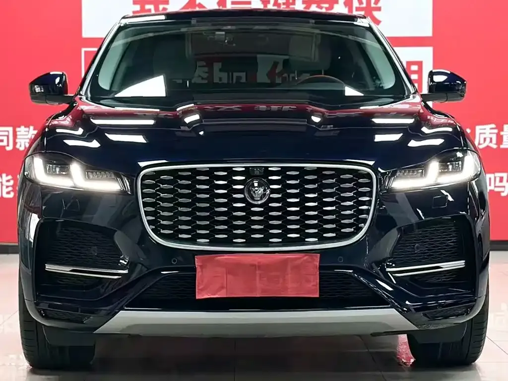 Jaguar F-PACE — фото 9
