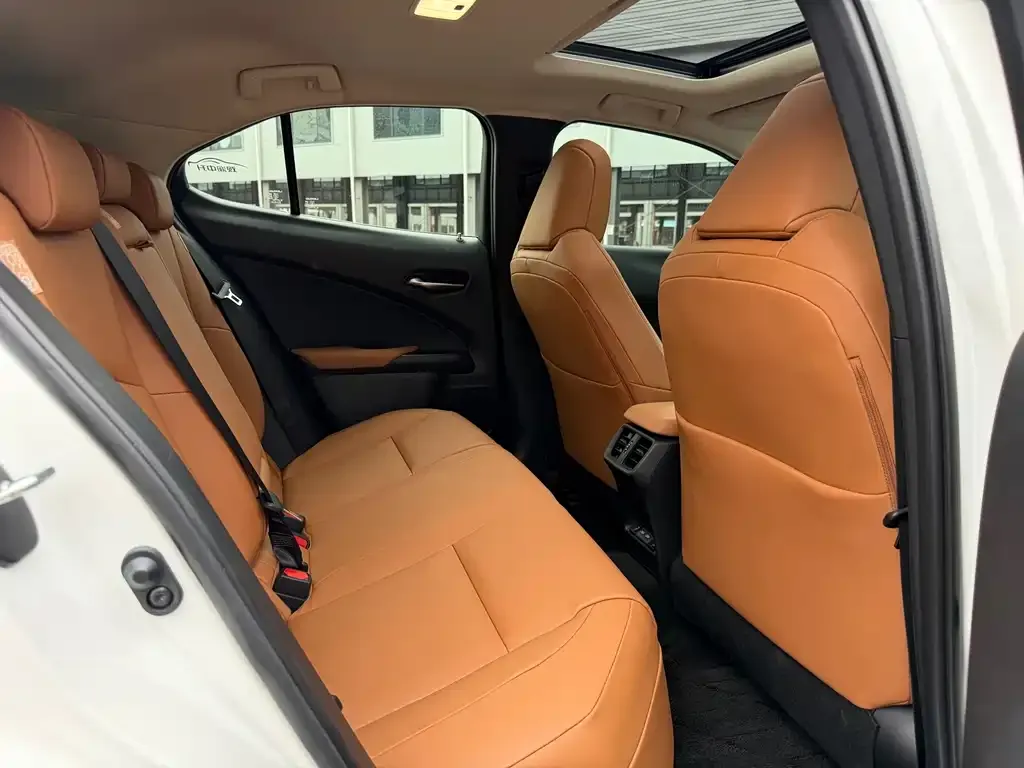 Lexus UX New Energy — фото 5