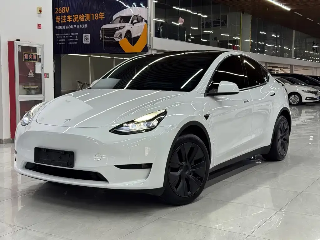 Tesla Model Y — фото 1