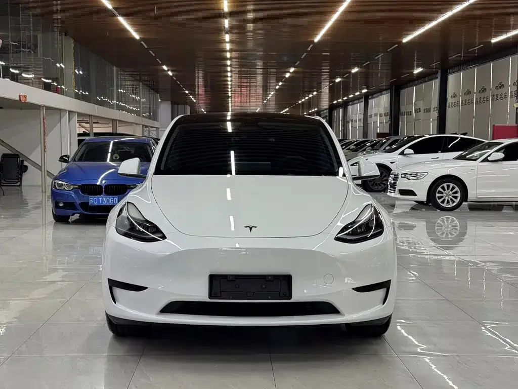 Tesla Model Y — фото 8