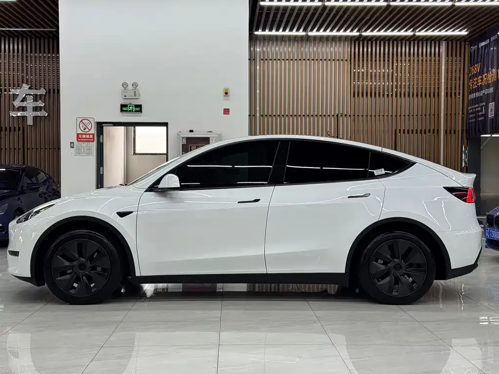 Tesla Model Y — фото 10