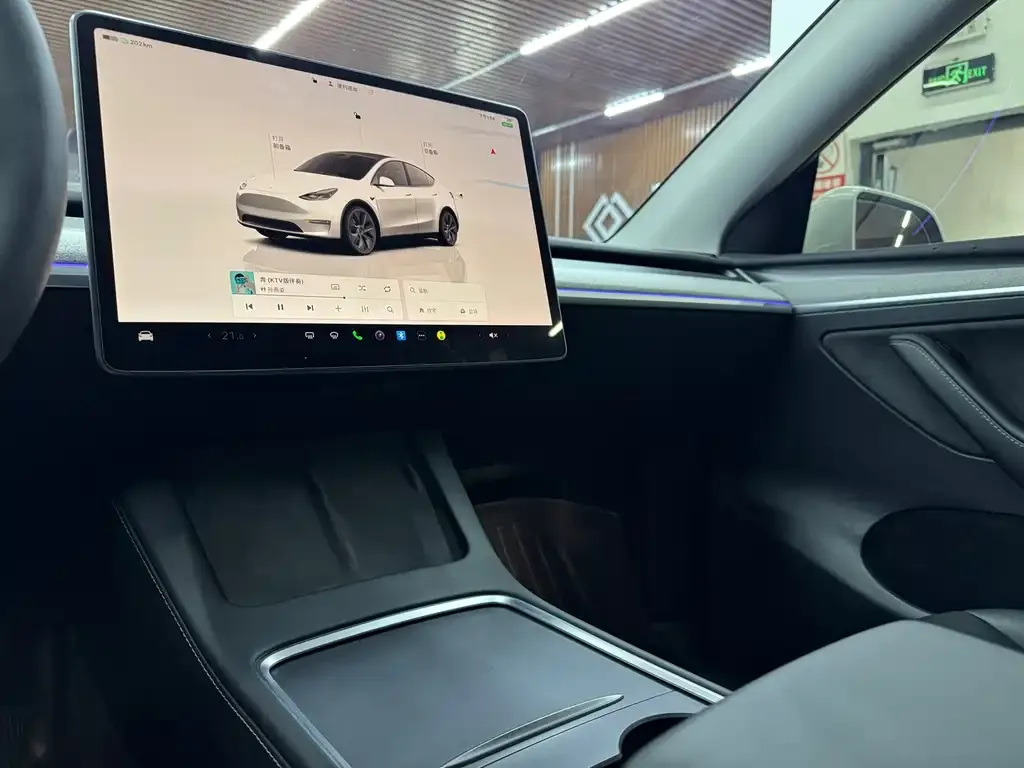 Tesla Model Y — фото 9