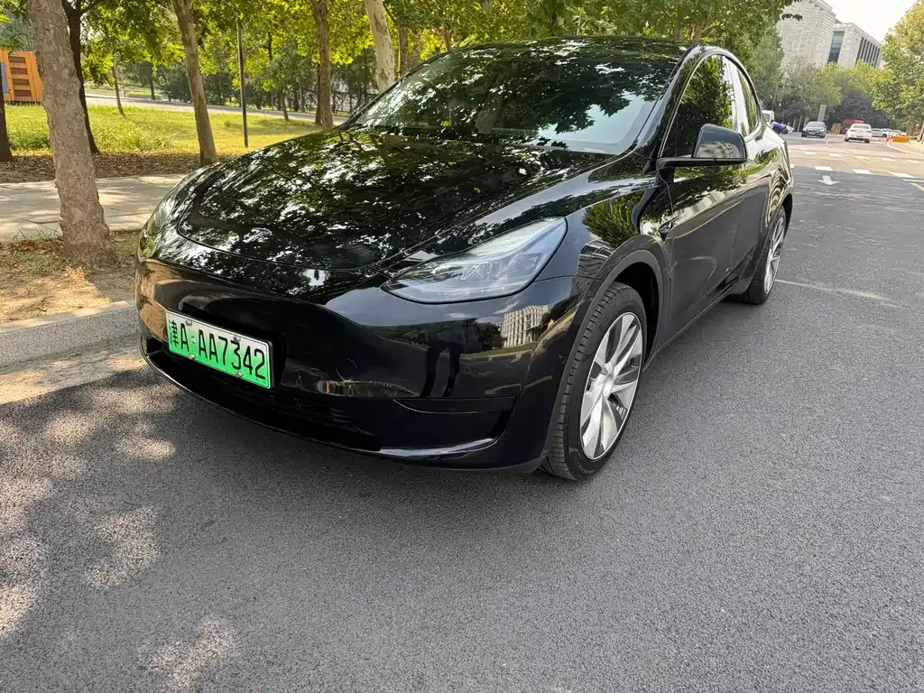 Tesla Model Y — фото 1