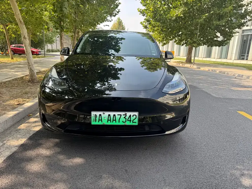 Tesla Model Y — фото 10
