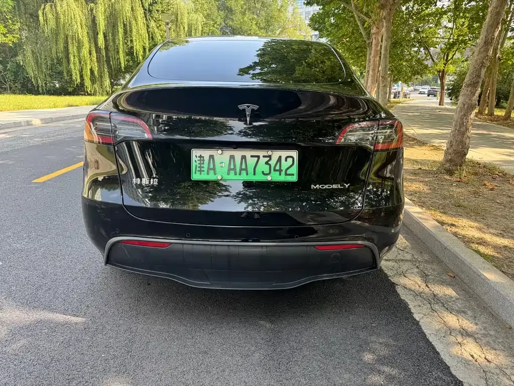 Tesla Model Y — фото 5