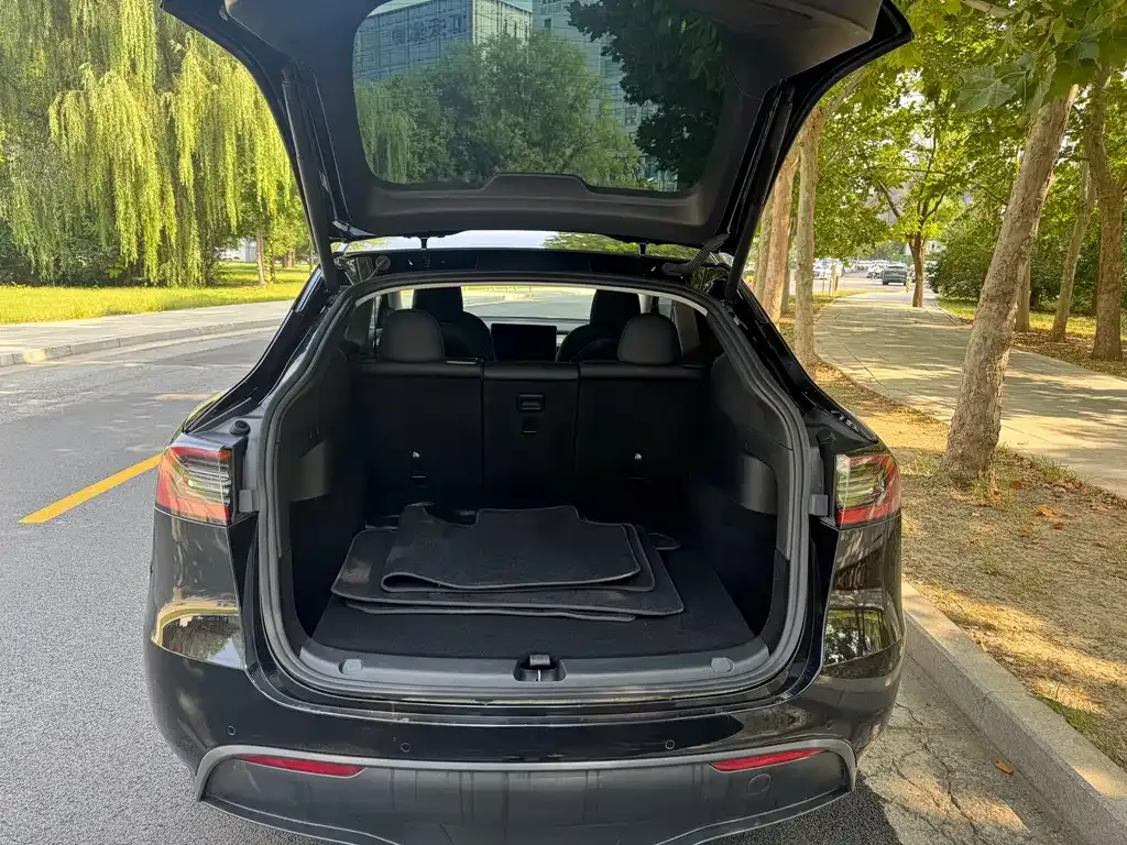 Tesla Model Y — фото 8