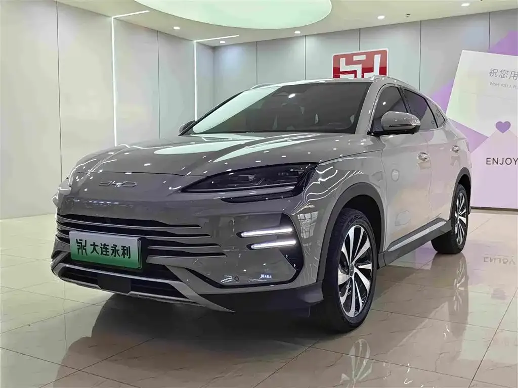 BYD PLUS New Energy — фото 1