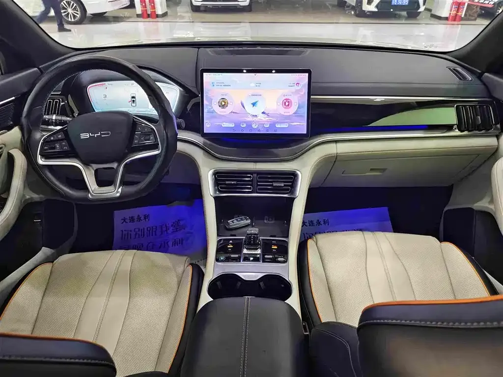 BYD PLUS New Energy — фото 3