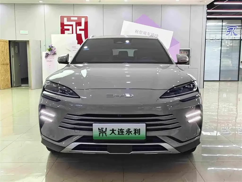 BYD PLUS New Energy — фото 2