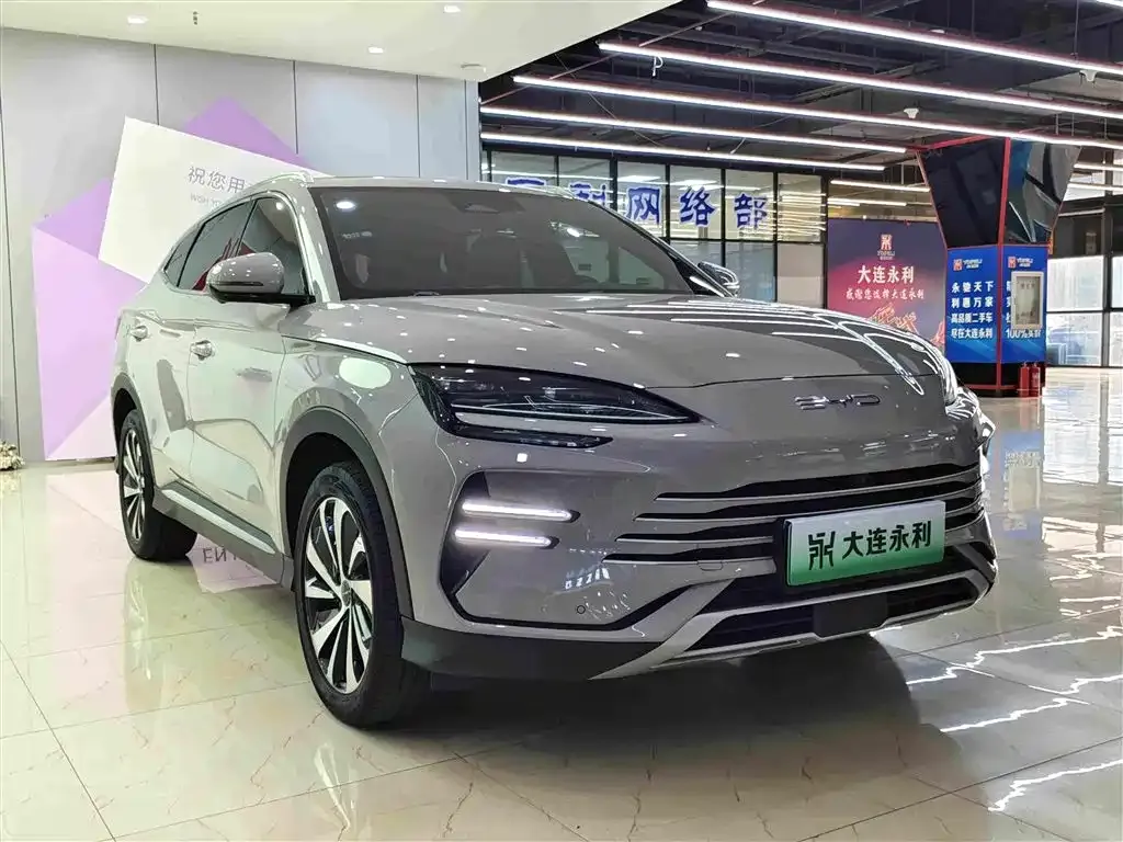 BYD PLUS New Energy — фото 5