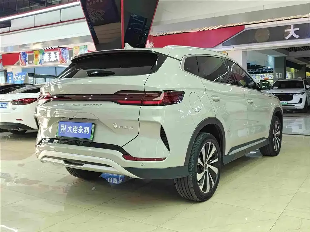 BYD PLUS New Energy — фото 4