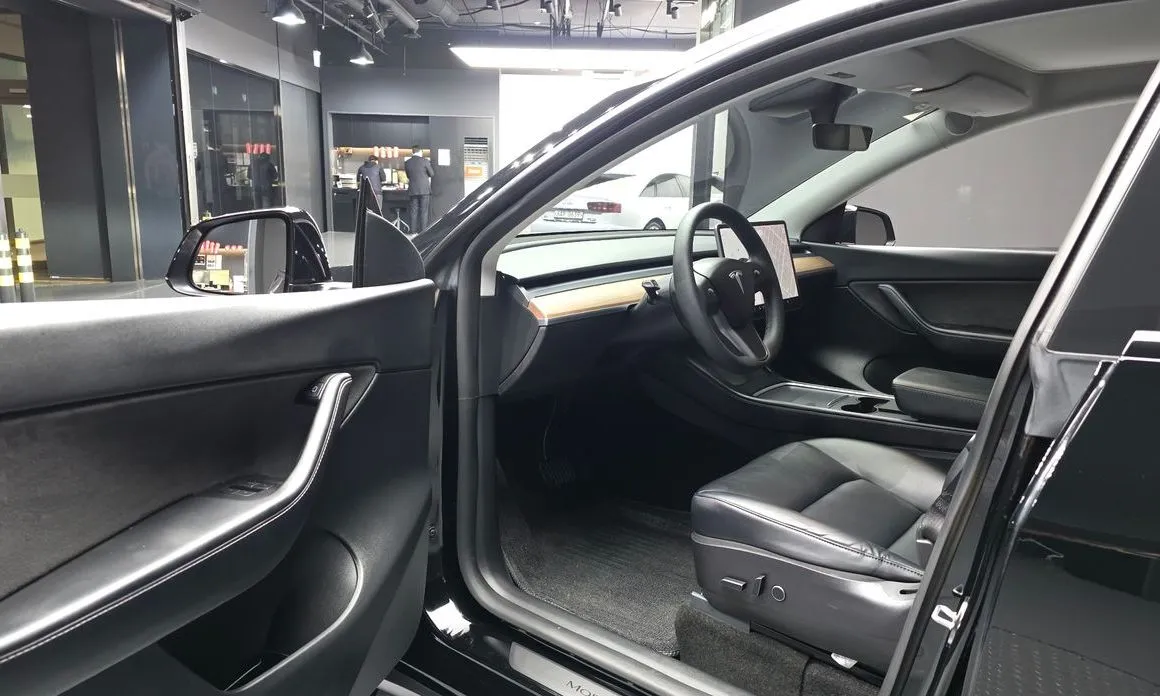Tesla Model Y — фото 10