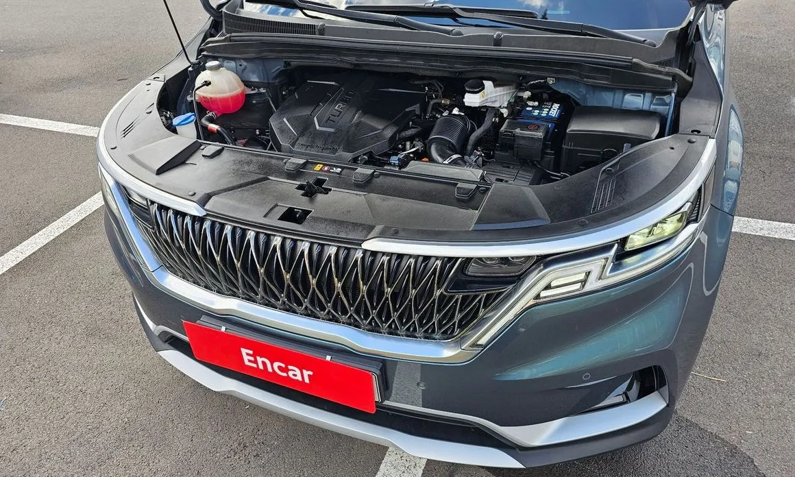 Kia Carnival — фото 10