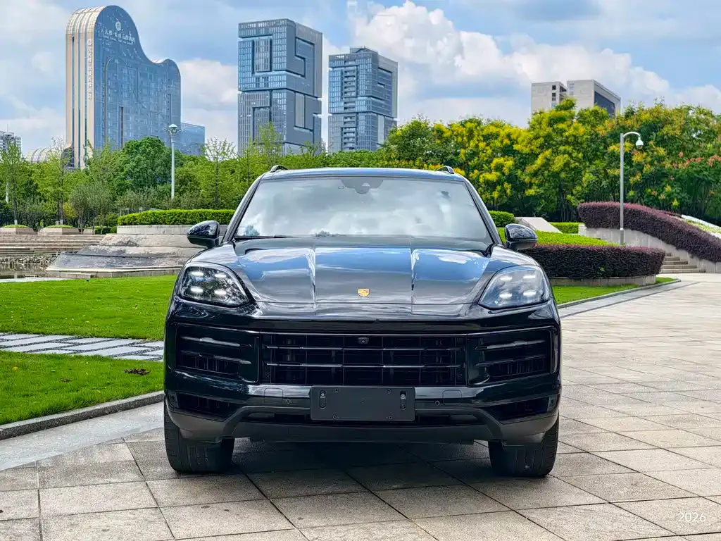 Porsche Cayenne — фото 8