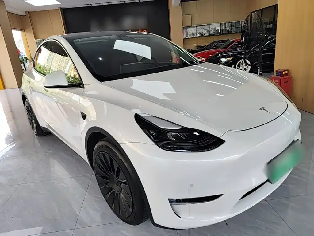 Tesla Model Y — фото 2