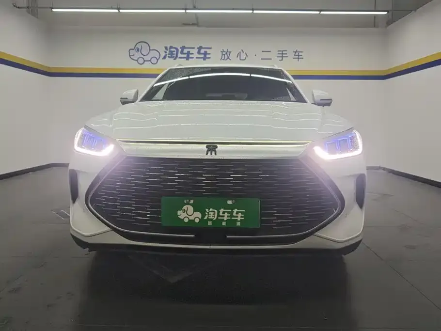 BYD PLUS New Energy — фото 8