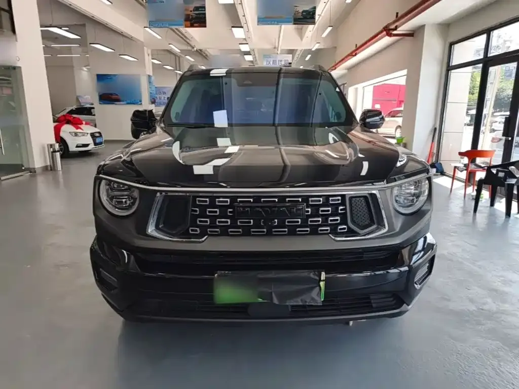 Haval Big Dog PLUS New Energy — фото 4