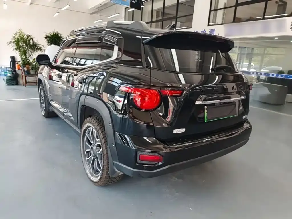 Haval Big Dog PLUS New Energy — фото 8