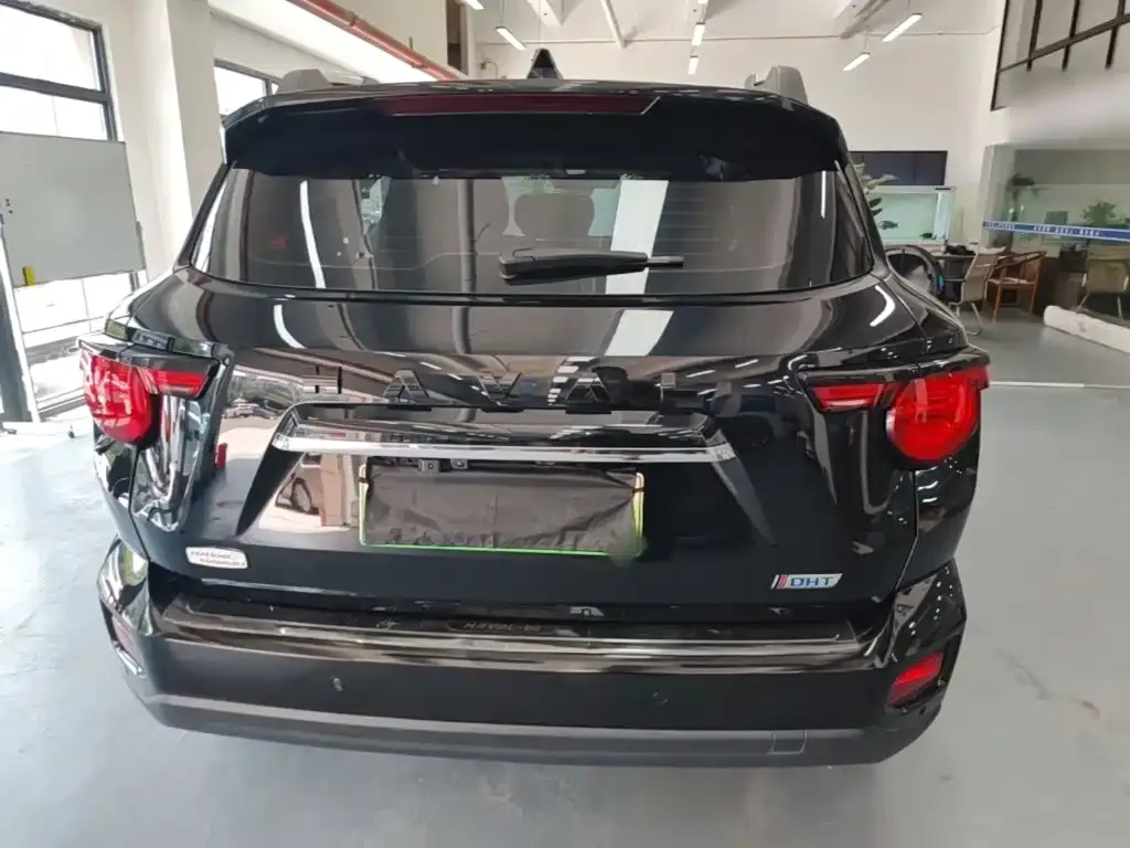 Haval Big Dog PLUS New Energy — фото 9