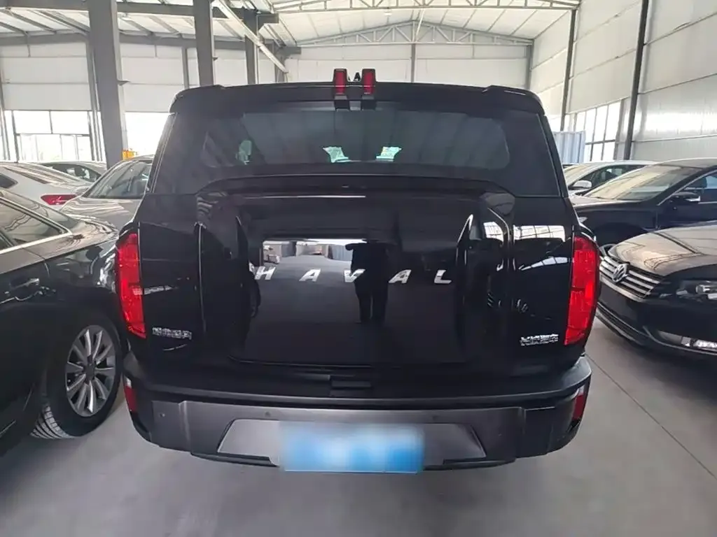 Haval Cool Dog — фото 10