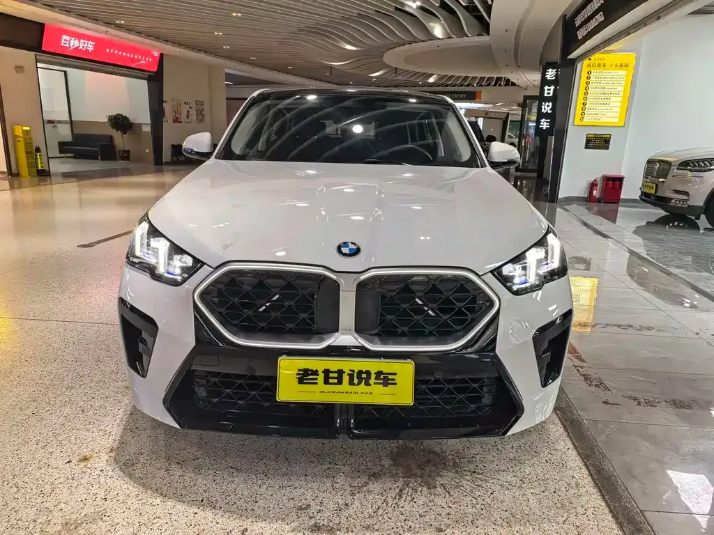 BMW X2 (Import) — фото 9