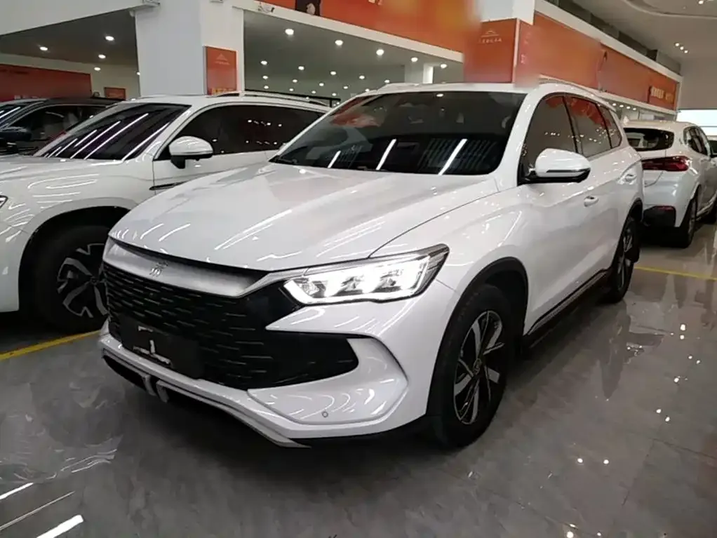 BYD Pro New Energy — фото 6