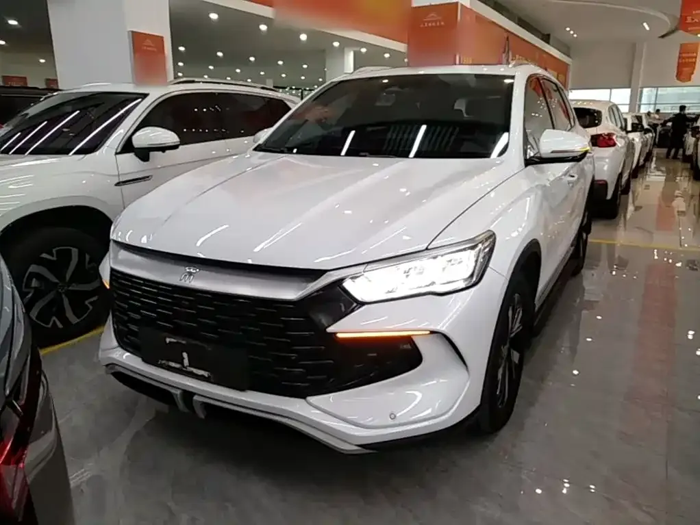BYD Pro New Energy — фото 7