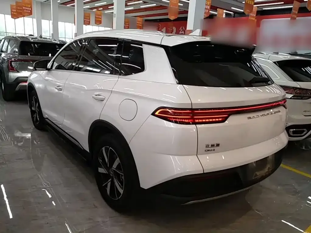 BYD Pro New Energy — фото 9