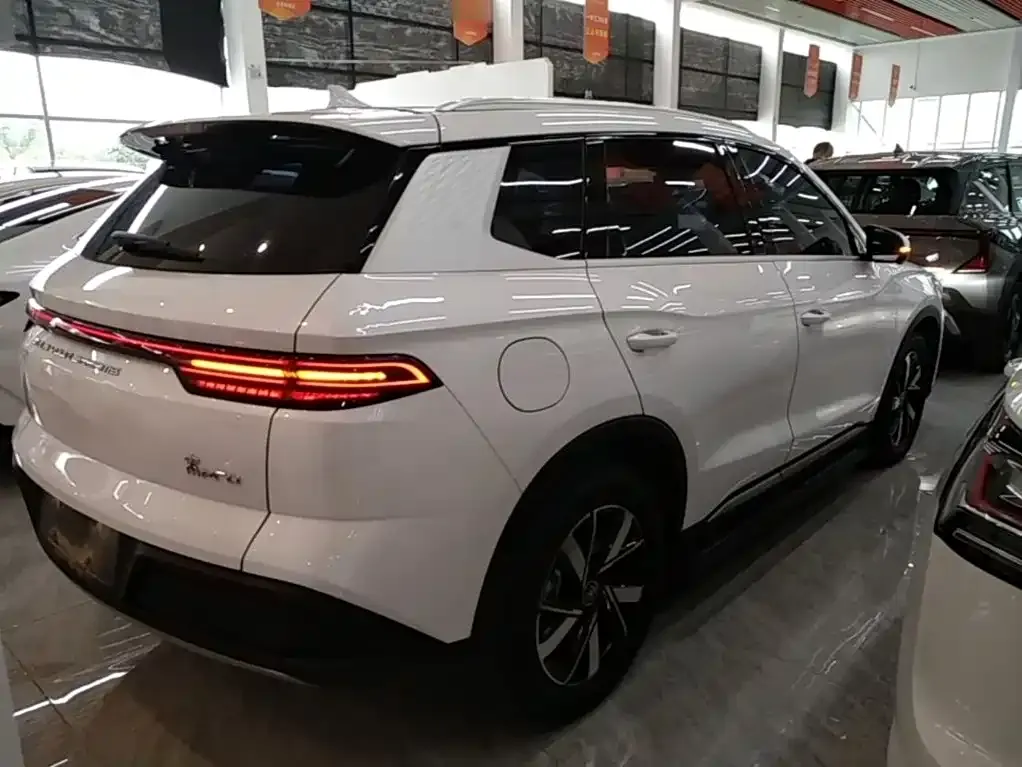 BYD Pro New Energy — фото 5