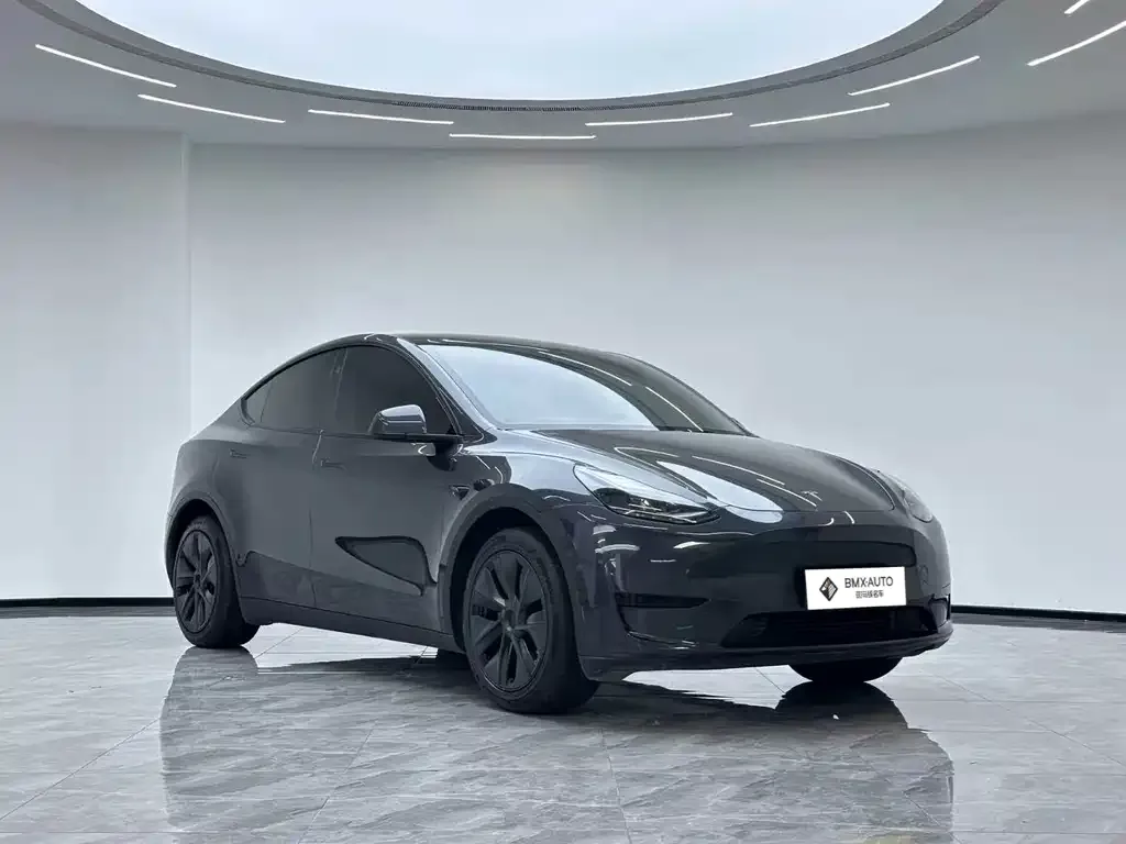 Tesla Model Y — фото 10
