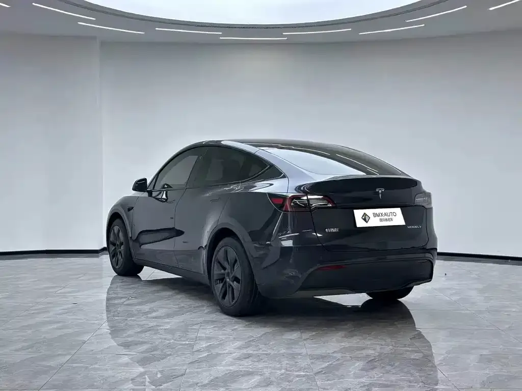 Tesla Model Y — фото 5