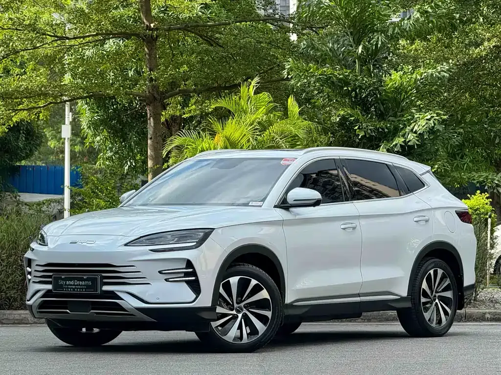 BYD PLUS New Energy — фото 1