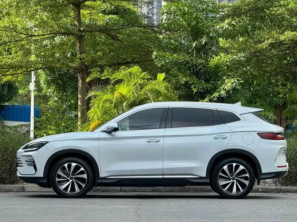 BYD PLUS New Energy — фото 7