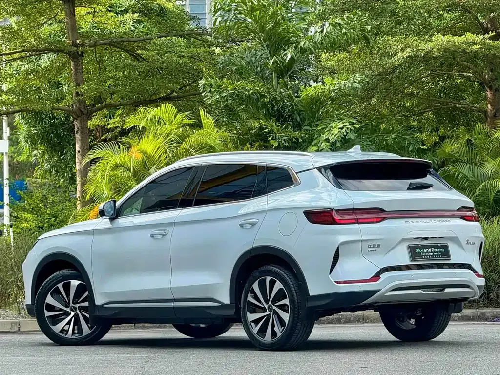 BYD PLUS New Energy — фото 6