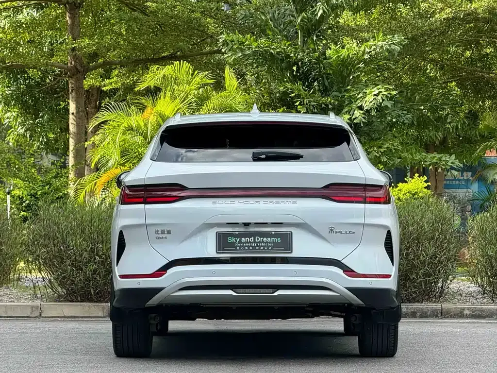BYD PLUS New Energy — фото 10