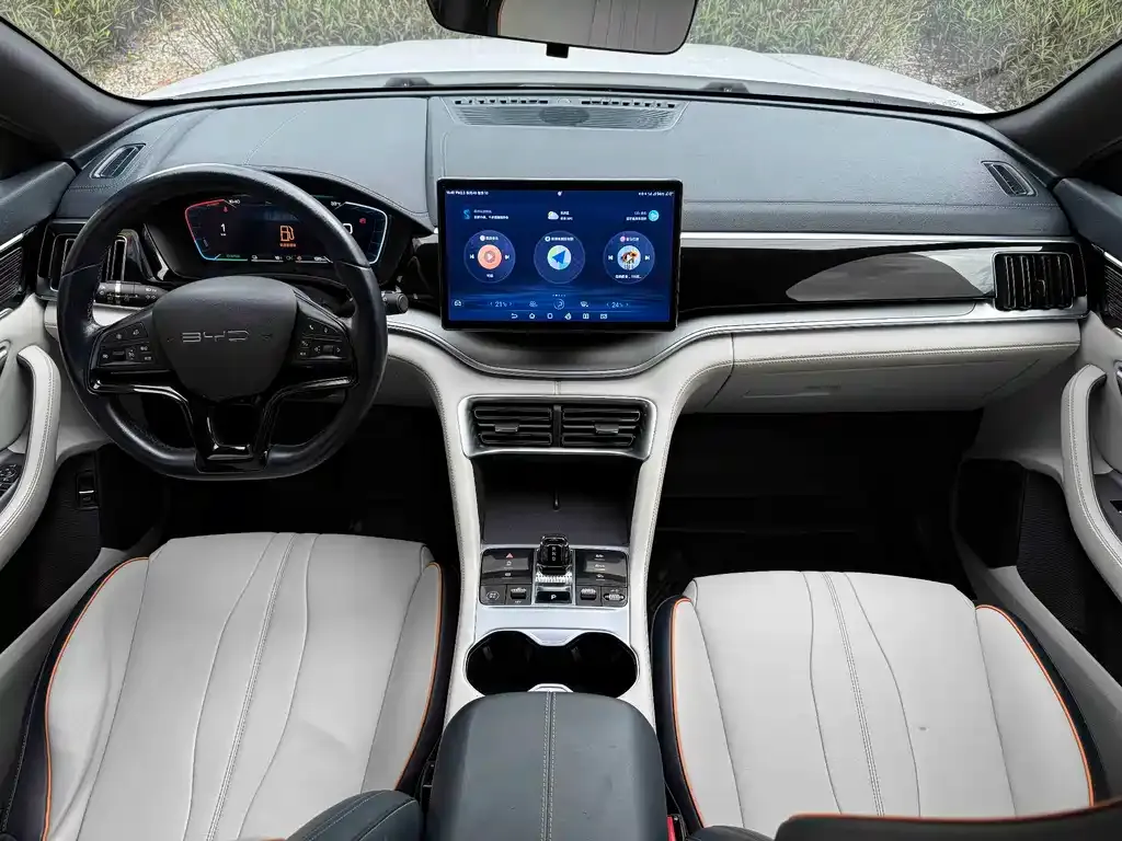 BYD PLUS New Energy — фото 4