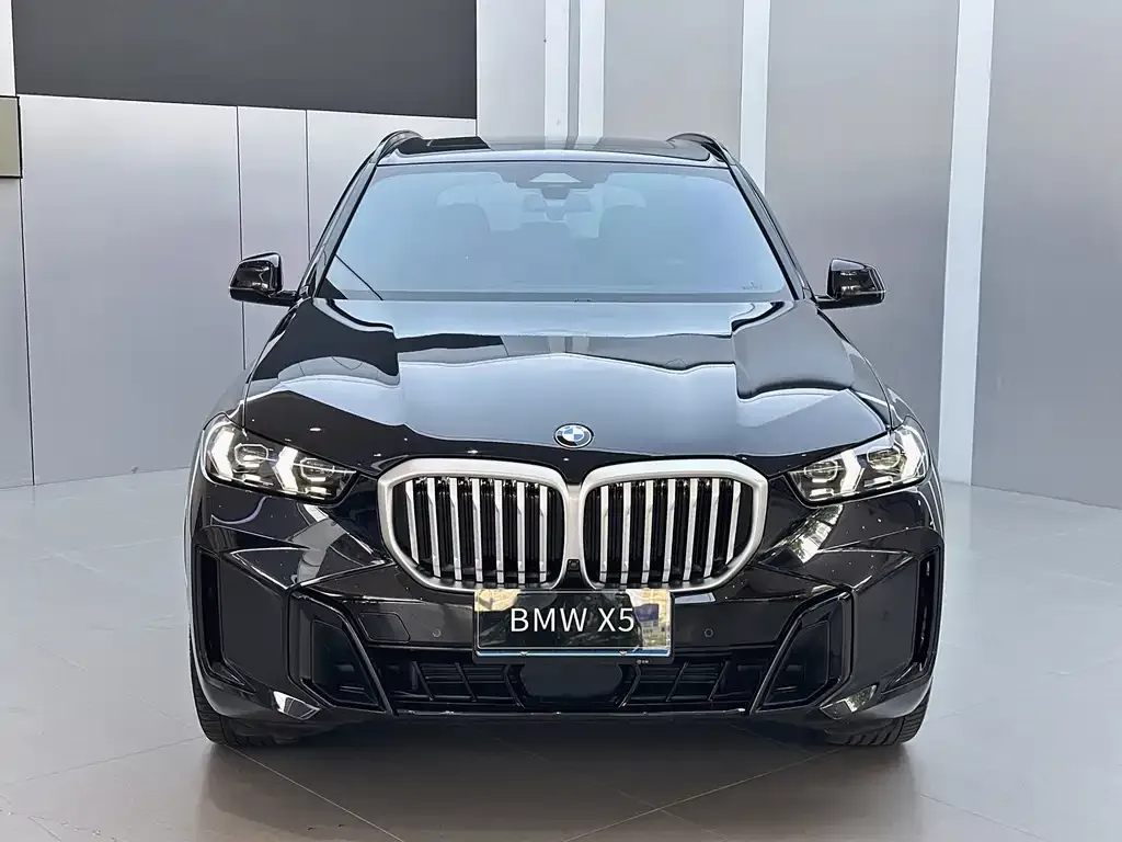 BMW X5 — фото 2