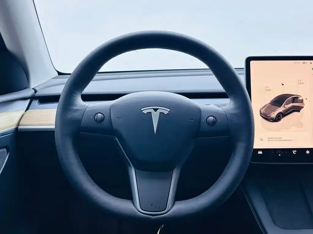 Tesla Model Y — фото 7