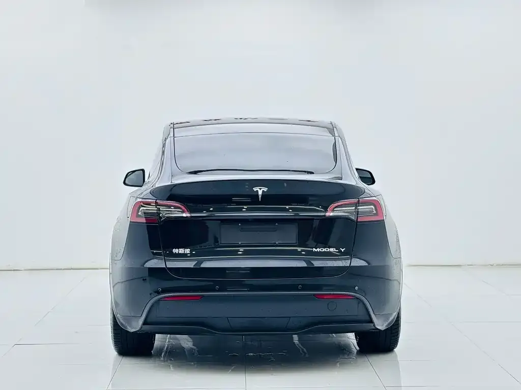 Tesla Model Y — фото 9