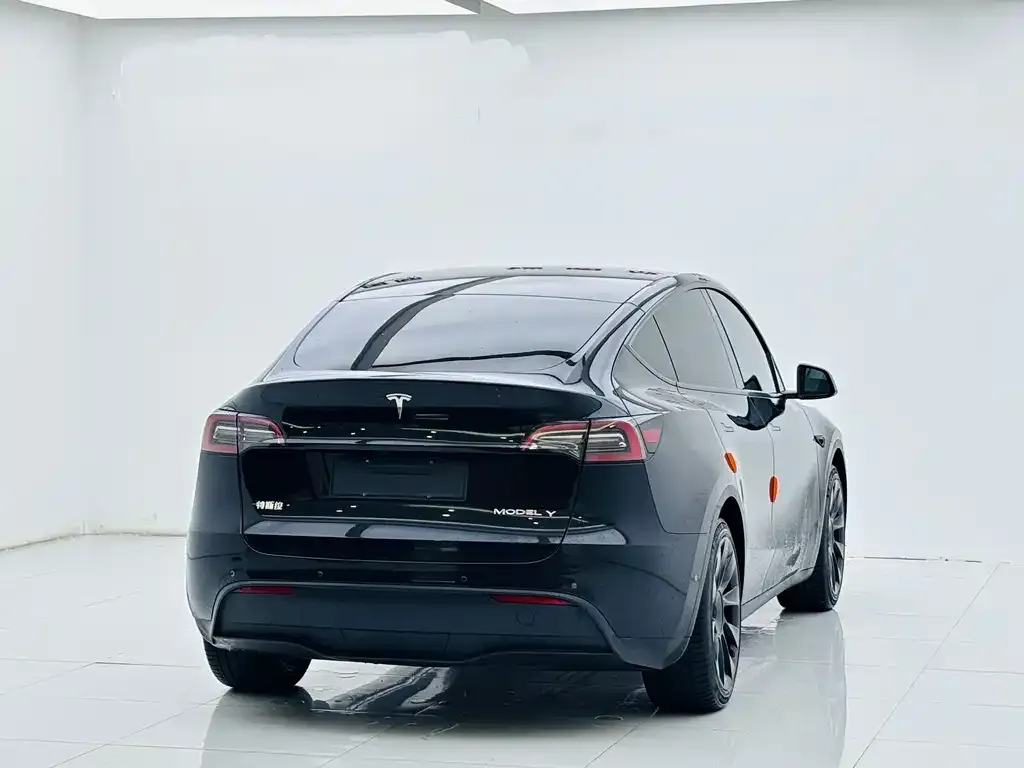 Tesla Model Y — фото 5